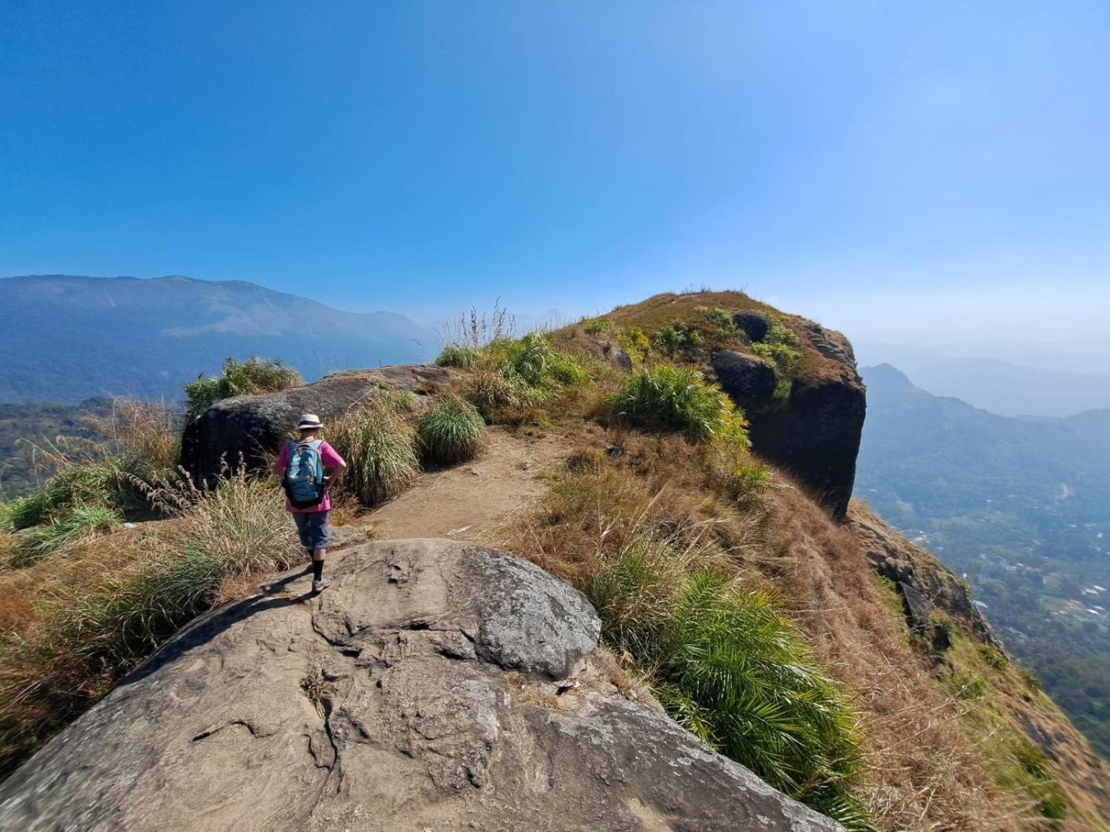 Munnar Village Homes Bagian luar foto