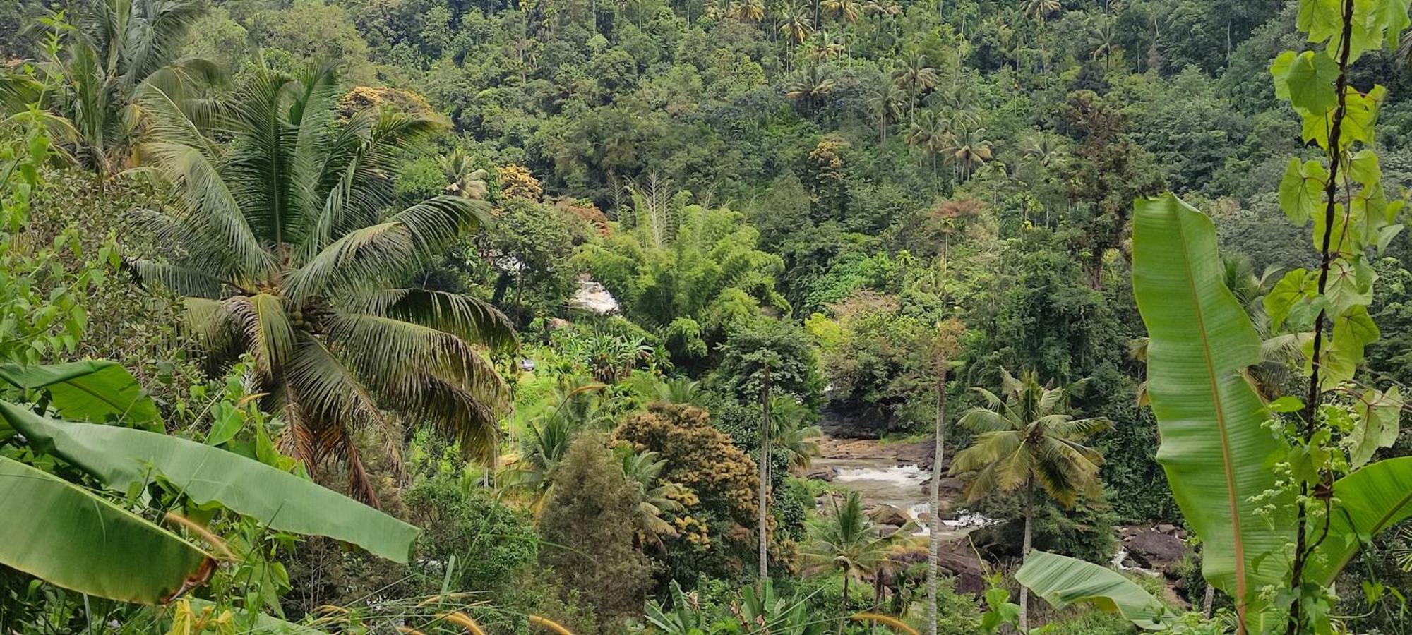 Munnar Village Homes Bagian luar foto