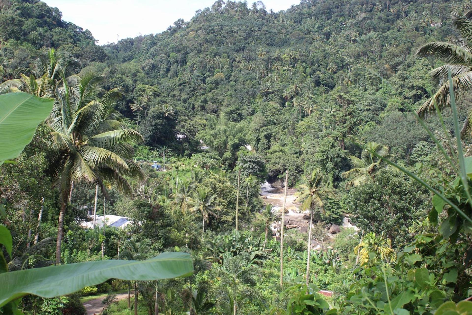 Munnar Village Homes Bagian luar foto